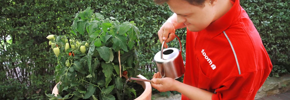 Person gießt Pflanze mit Gießkanne